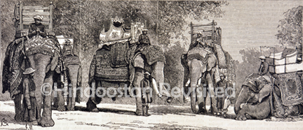 /data/Original Prints/Miscellaneous/A GROUP OF THE VICEROY S ELEPHANTS WITH THEIR STATE TRAPPING.jpg